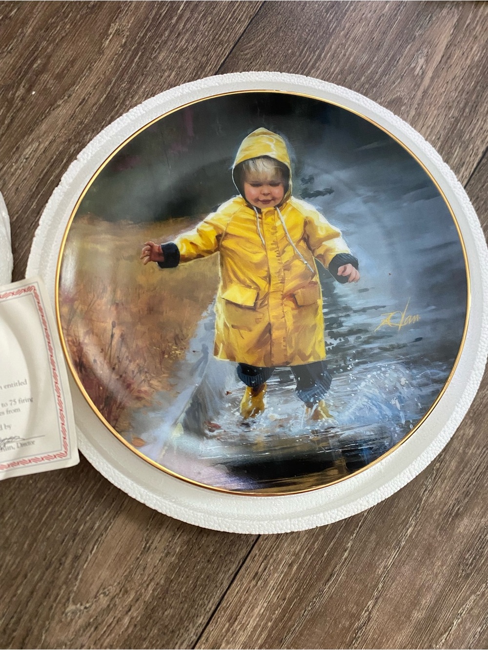 Collectible Ceramic Plate- Little Splasher